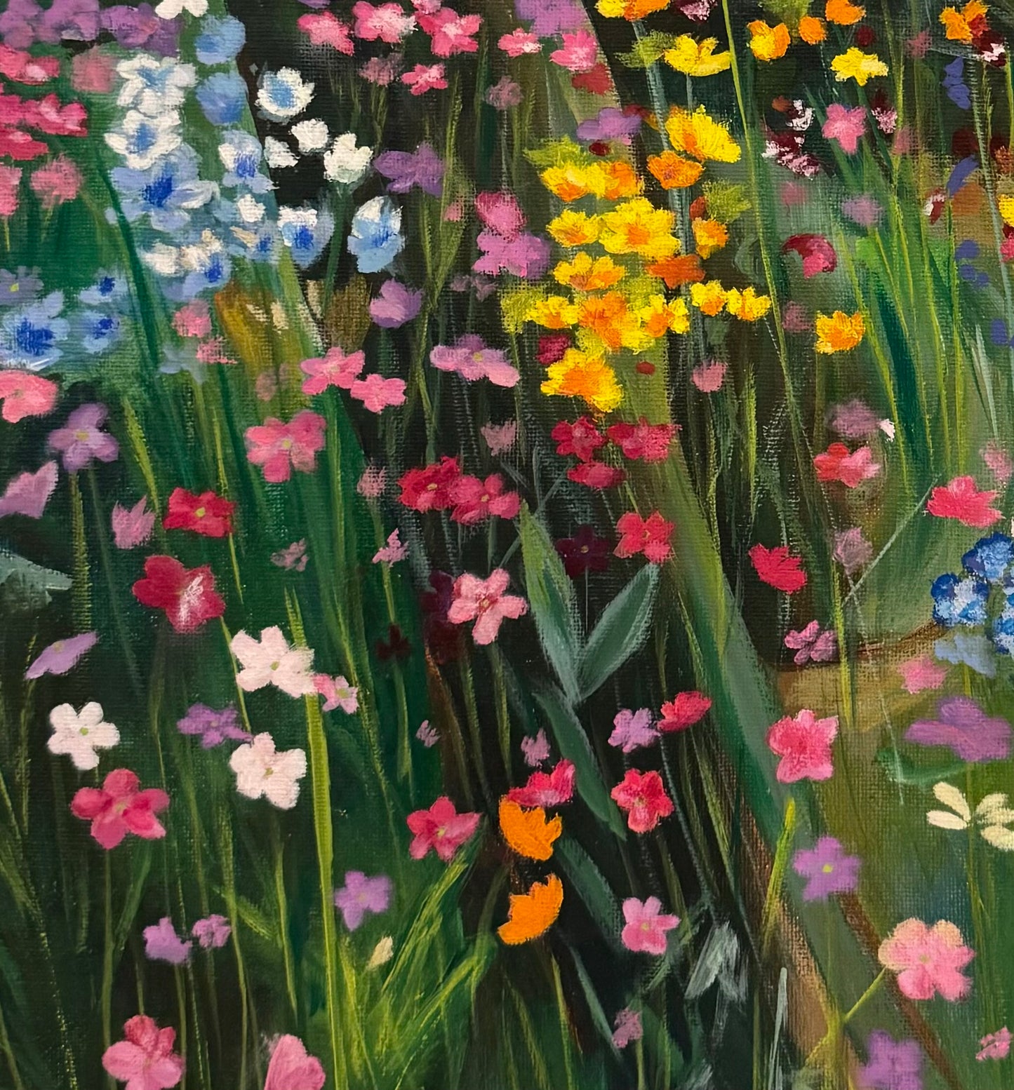 Field Of Desires