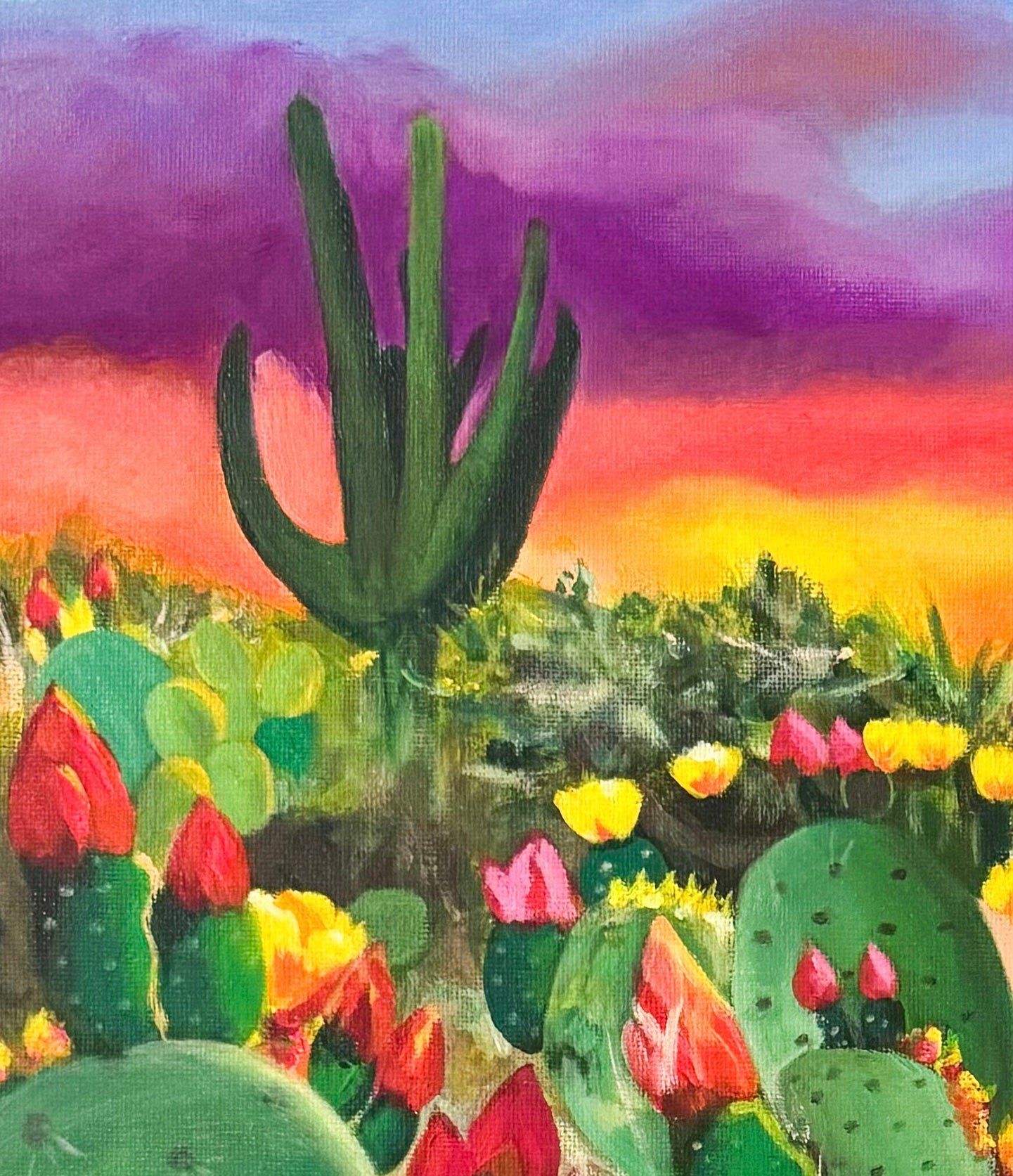 Desert Sun