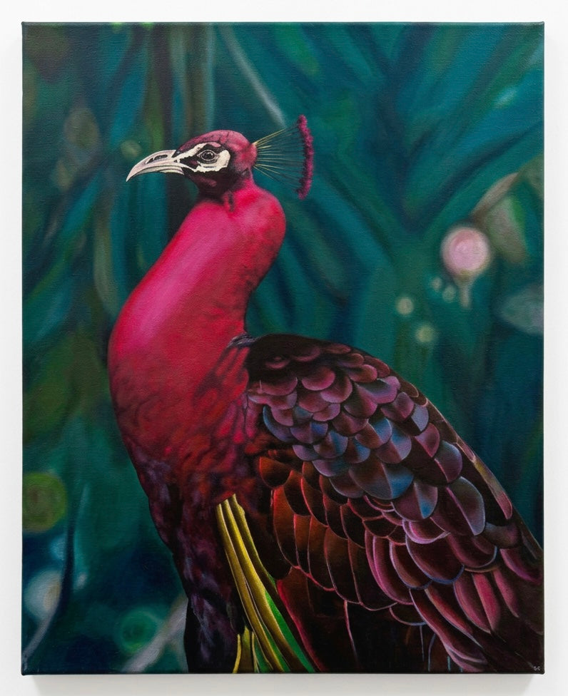 A painting of a realistic magenta peacock against a green background