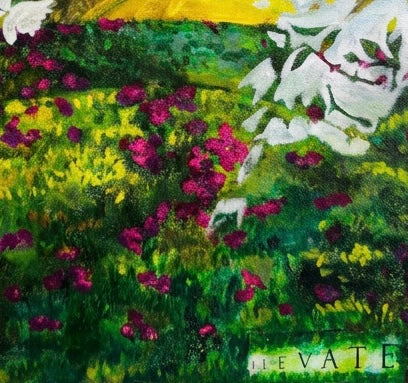 A close up of a landscape with magenta flowers