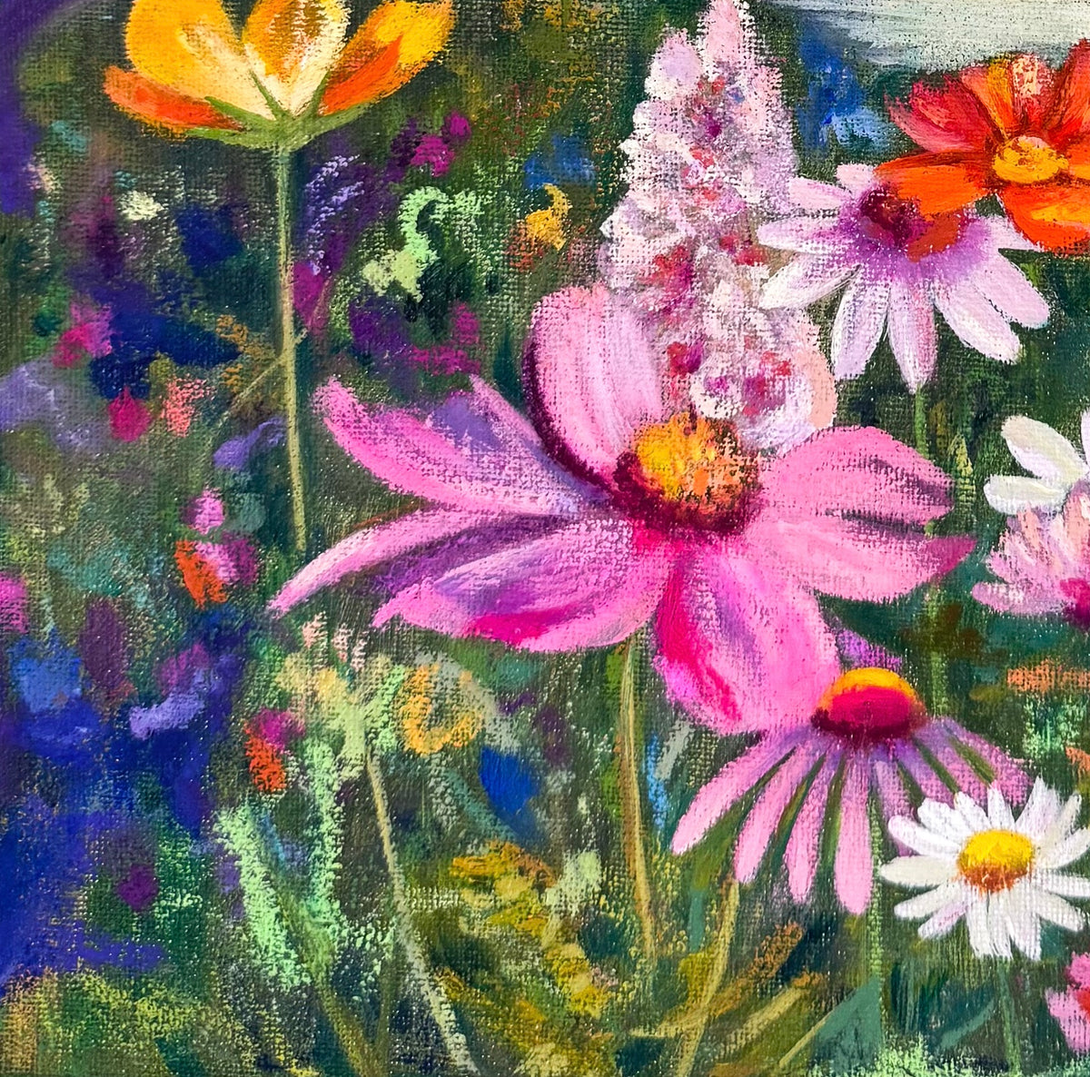 The Colour of Dreams
